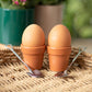 Plant Pot Egg Cup Set with Shovel Spoons - Hello Pumpkin