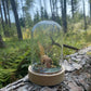 Enchanted Tree Fairy Lamp in a bell jar - Hello Pumpkin