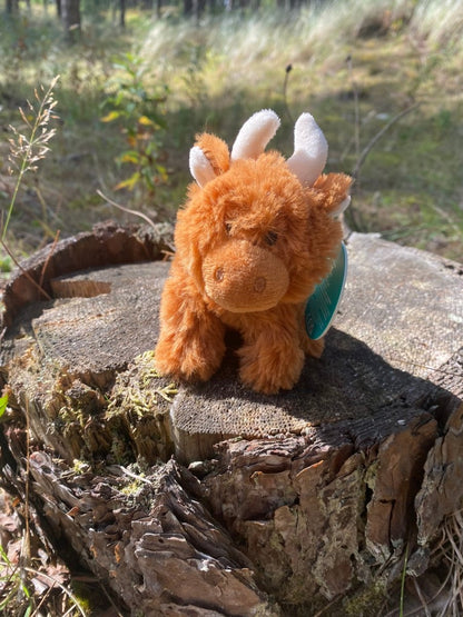 Hamish the Highland Cow - Hello Pumpkin