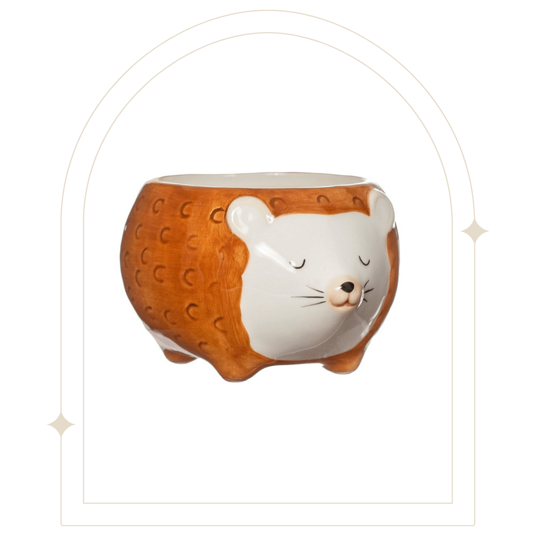 Hettie Hedgehog Planter - Hello Pumpkin