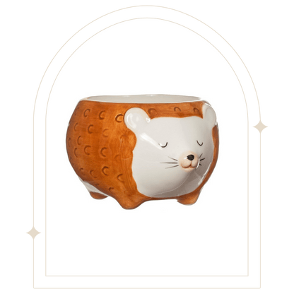 Hettie Hedgehog Planter - Hello Pumpkin