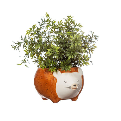 Hettie Hedgehog Planter - Hello Pumpkin