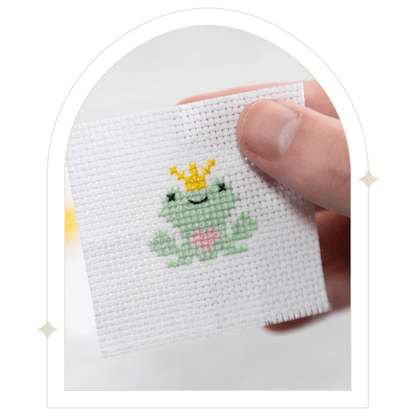 Kawaii Frog Prince Mini Cross Stitch Kit - Hello Pumpkin