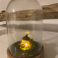 Large bell jar with mini acorn fairy house - Hello Pumpkin
