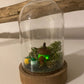 Mini bell jar with green acorn fairy house - Hello Pumpkin