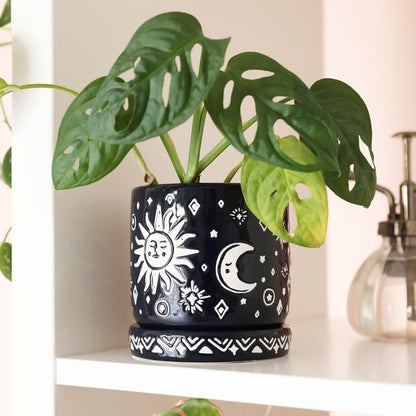 Navy blue celestial plant pot and saucer - Hello Pumpkin