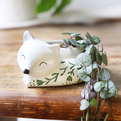 Sleeping Fox Planter - Hello Pumpkin