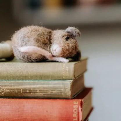 Sleepy Mice Needle Felting Kit - Hello Pumpkin