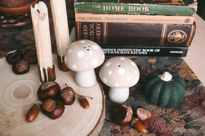 Stoneware mushroom Salt & Pepper set - Hello Pumpkin