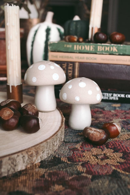 Stoneware mushroom Salt & Pepper set - Hello Pumpkin