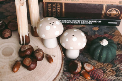 Stoneware mushroom Salt & Pepper set - Hello Pumpkin