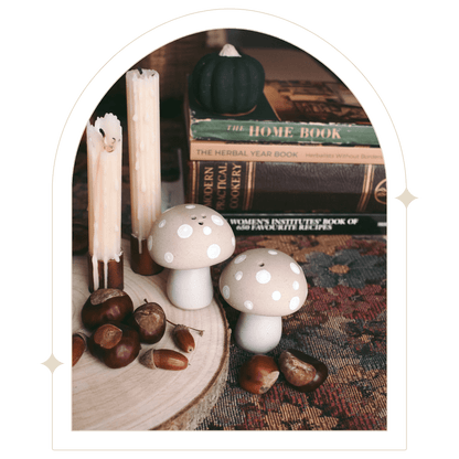 Stoneware mushroom Salt & Pepper set - Hello Pumpkin