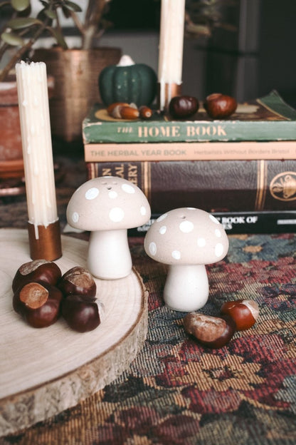 Stoneware mushroom Salt & Pepper set - Hello Pumpkin