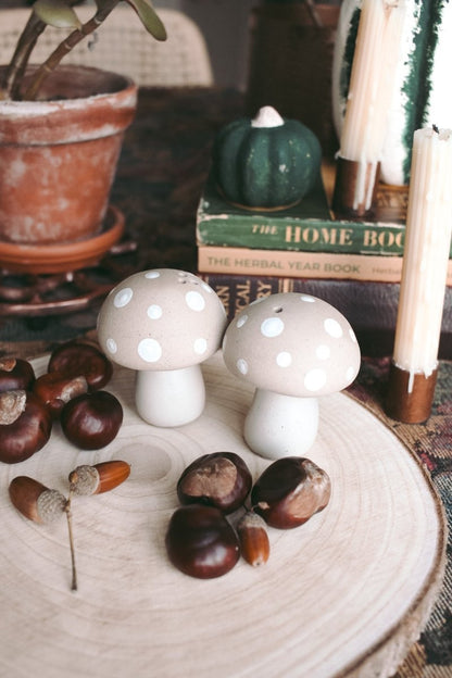 Stoneware mushroom Salt & Pepper set - Hello Pumpkin