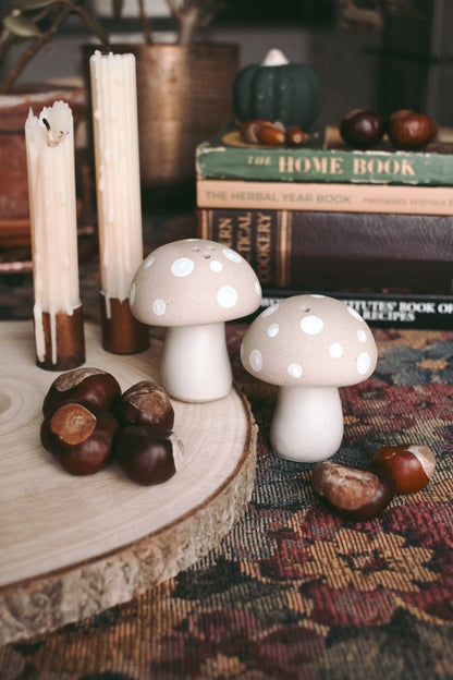 Stoneware mushroom Salt & Pepper set - Hello Pumpkin