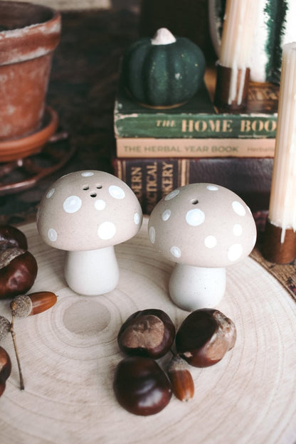 Stoneware mushroom Salt & Pepper set - Hello Pumpkin