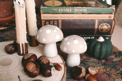 Stoneware mushroom Salt & Pepper set - Hello Pumpkin