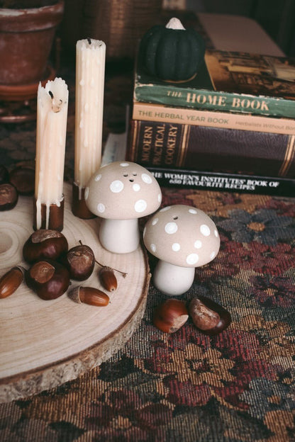 Stoneware mushroom Salt & Pepper set - Hello Pumpkin